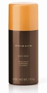 ����������-����� ��� ���� �Domain� Mary Kay